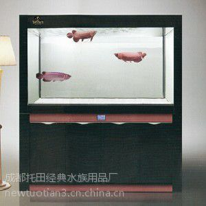 崇州哪里有賣魚缸的地方啊多少錢一條：崇州地區(qū)的魚缸銷售地點(diǎn)及其相關(guān)信息