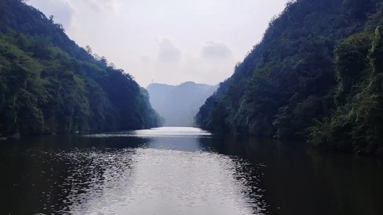 周末魚快