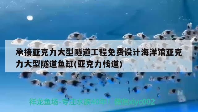 承接亞克力大型隧道工程免費設計海洋館亞克力大型隧道魚缸(亞克力棧道)