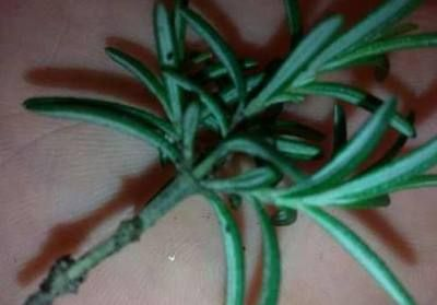 玻璃魚缸可以打孔嗎視頻教學：玻璃魚缸打孔教程
