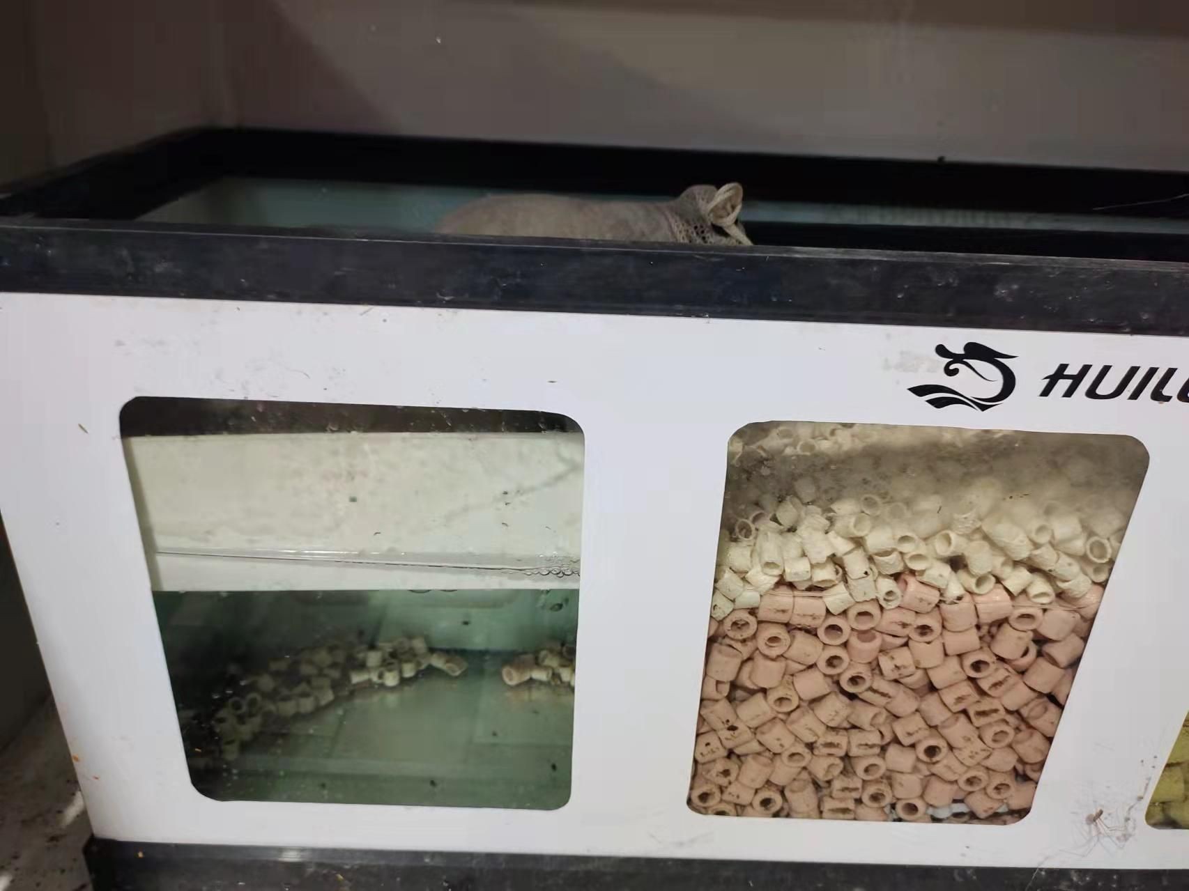 龍魚怕什么 森森魚缸干濕分離盒漏水解決方法 森森魚缸 森森魚缸干濕分離盒漏水解決方法 森森魚缸干濕分離盒漏水解決方法 森森魚缸