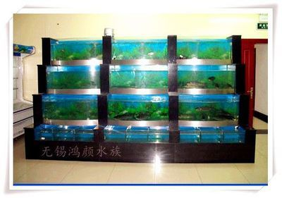 玻璃魚缸的使用壽命
