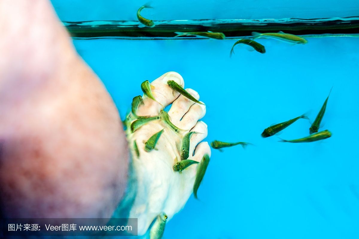 玻璃魚缸的使用壽命