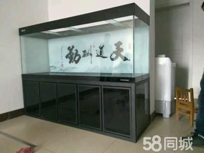 錦江區紅三角水族坊（錦江區紅三角水族坊地址） 錦江區紅三角水族坊（錦江區紅三角水族坊地址） 全國水族館企業名錄 第2張