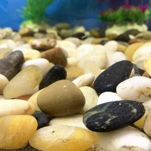 打蠟的鵝卵石可以放魚(yú)缸嗎：打蠟的鵝卵石可以放入魚(yú)缸取決于蠟的狀態(tài) 打蠟的鵝卵石可以放魚(yú)缸嗎：打蠟的鵝卵石可以放入魚(yú)缸取決于蠟的狀態(tài) 魚(yú)缸百科 第3張
