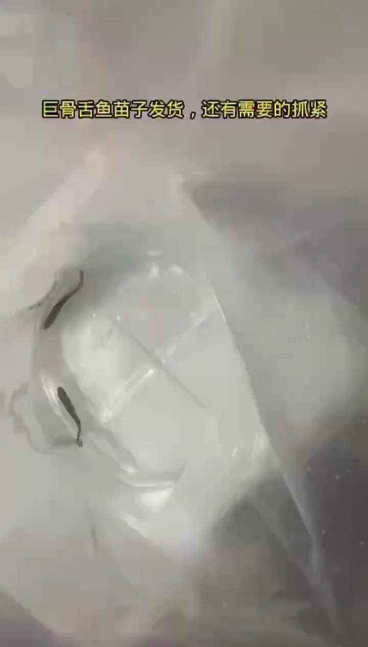 發貨