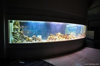 南昌魚缸定做哪家價格實在好用呢視頻（南昌魚缸定做哪家價格實在好用呢視頻講解）