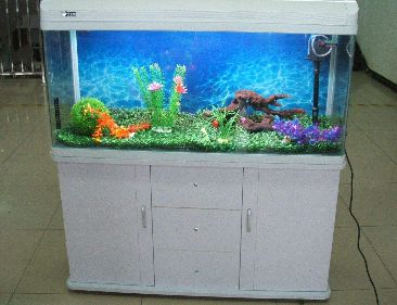 把魚缸放在哪里最好呢：家居風水中魚缸擺放位置 把魚缸放在哪里最好呢：家居風水中魚缸擺放位置 魚缸百科 第3張