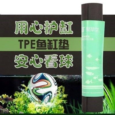 超白小魚缸墊用什么顏色好：超白小魚缸墊的選擇 超白小魚缸墊用什么顏色好：超白小魚缸墊的選擇 魚缸百科