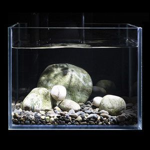 魚缸溢流原理圖解圖（魚缸溢流原理圖解圖片）