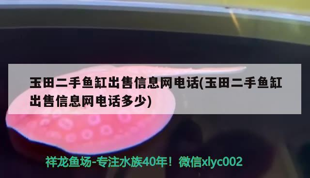 玉田二手魚缸出售信息網電話(玉田二手魚缸出售信息網電話多少)