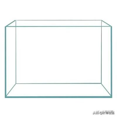 超白魚缸什么材質的好一點:超白玻璃魚缸材質優缺點分析超白玻璃魚缸材質優缺點 魚缸百科 第2張 超白魚缸什么材質的好一點:超白玻璃魚缸材質優缺點分析超白玻璃魚缸材質優缺點 超白魚缸什么材質的好一點:超白玻璃魚缸材質優缺點分析超白玻璃魚缸材質優缺點 魚缸百科 第2張