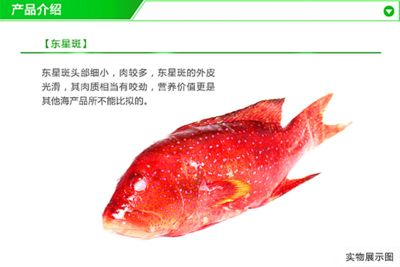 紅龍魚品牌推薦知乎文章怎么寫的：紅龍魚品牌市場評價對比紅龍魚品牌歷史與發(fā)展
