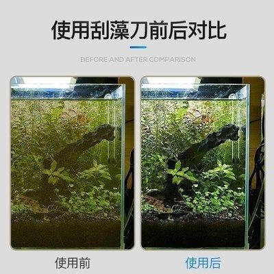 不想用的魚缸怎么處理干凈：如何處理不想用的大魚缸？