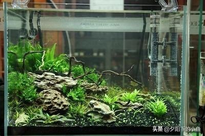 不想用的魚缸怎么處理干凈：如何處理不想用的大魚缸？