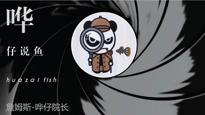 揭陽龍魚專賣店（揭陽龍魚專賣店地址） 揭陽龍魚專賣店（揭陽龍魚專賣店地址） 觀賞魚百科