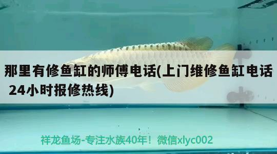 那里有修魚缸的師傅電話(上門維修魚缸電話24小時報修熱線)