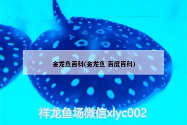 魚缸用增氧泵價格是多少:魚缸增氧機-xtrac增氧機-xtrac增氧機 魚缸氧氣泵安裝方法(魚缸氧氣泵安裝方法視頻) 觀賞魚百科 魚缸氧氣泵安裝方法(魚缸氧氣泵安裝方法視頻) 魚缸氧氣泵安裝方法(魚缸氧氣泵安裝方法視頻) 觀賞魚百科