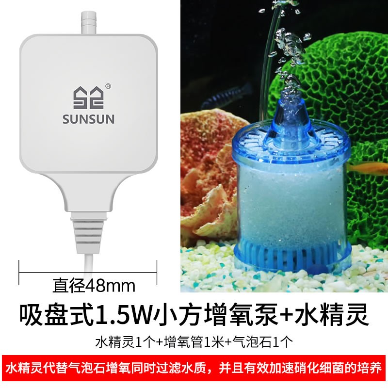 暹羅貓的價格一般多少錢（為什么千萬別養暹羅貓）