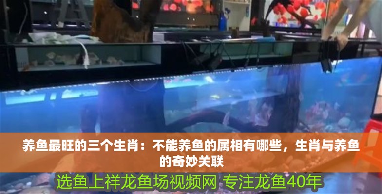 龍魚最忌三種屬相
