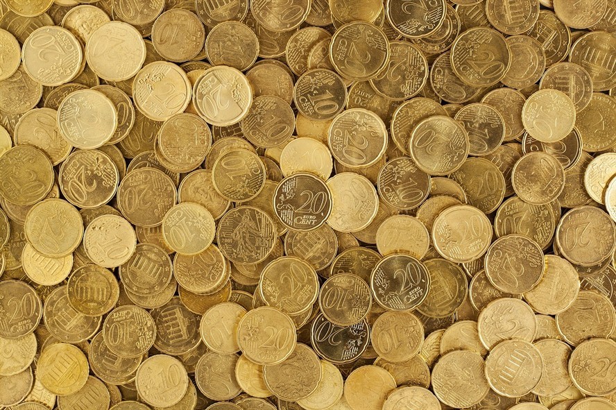 黃金錦鯉多少錢（黃金錦鯉多少錢一條三斤）