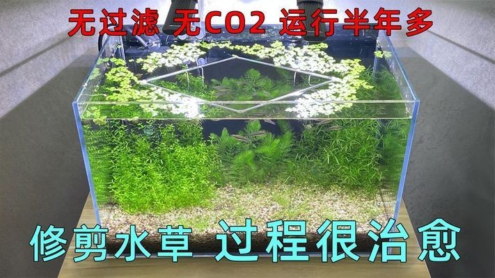 華澤集團有限公司（華澤集團有限公司(金六福企業)） 華澤集團有限公司（華澤集團有限公司(金六福企業)） 全國水族館企業名錄 第2張