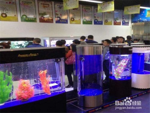 大魚(yú)缸怎么搬上樓的：如何有效地將大魚(yú)缸搬上樓