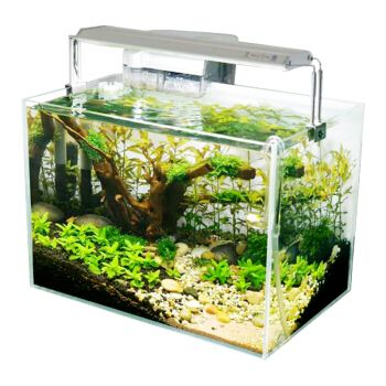 玻璃水可以洗魚缸嗎：玻璃水可以洗魚缸嗎？ 玻璃水可以洗魚缸嗎：玻璃水可以洗魚缸嗎？ 魚缸百科 第1張