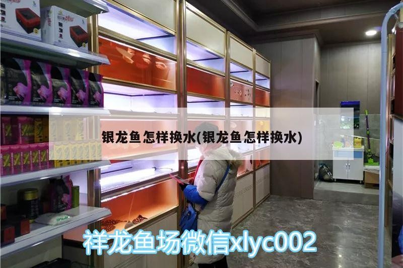 銀龍魚怎樣換水(銀龍魚怎樣換水)
