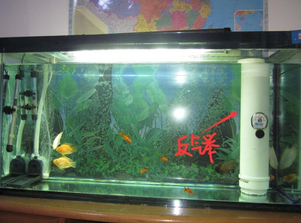 成品魚缸怎么改造過濾：成品魚缸改造之過濾系統升級
