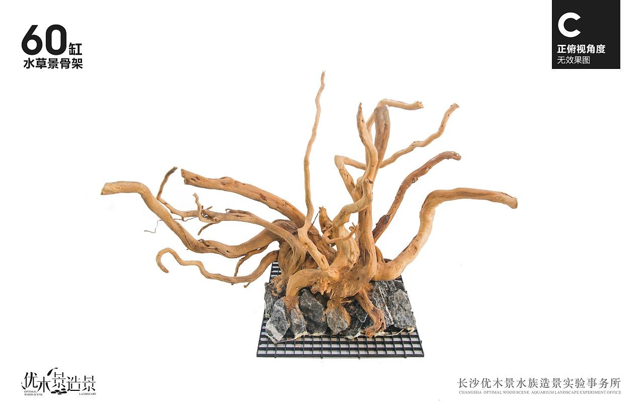 杜鵑藤魚(yú)缸造景效果圖：杜鵑根在魚(yú)缸造景中的應(yīng)用