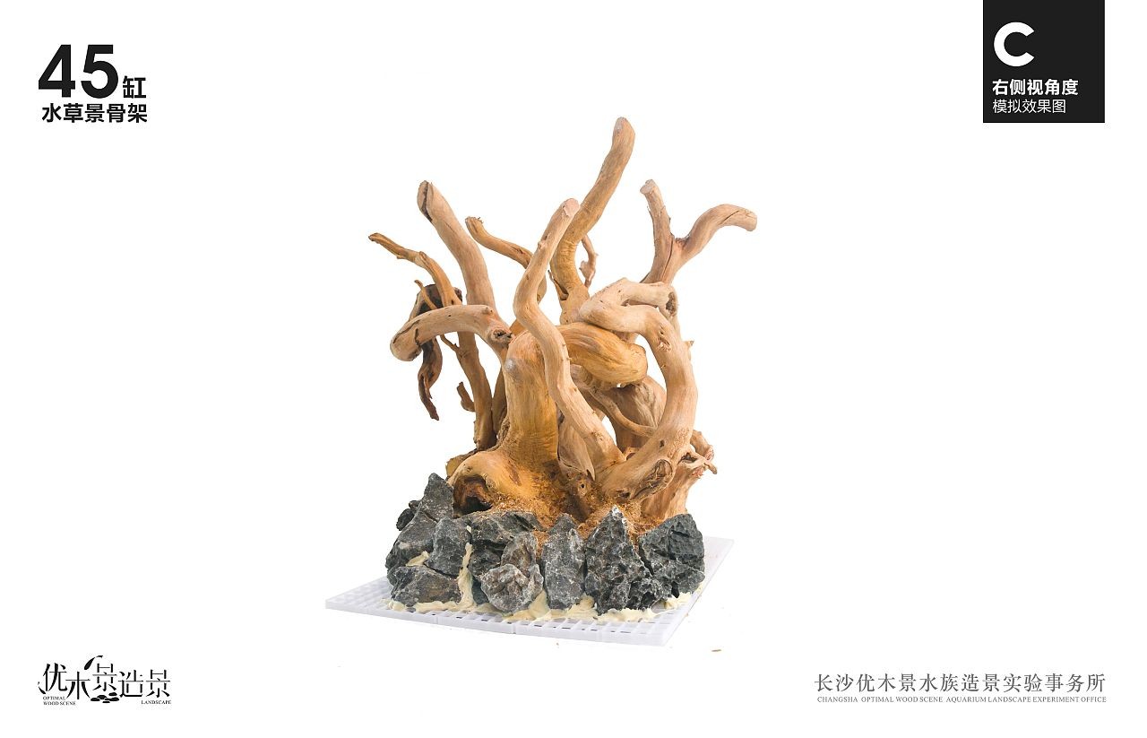 杜鵑藤魚(yú)缸造景效果圖：杜鵑根在魚(yú)缸造景中的應(yīng)用