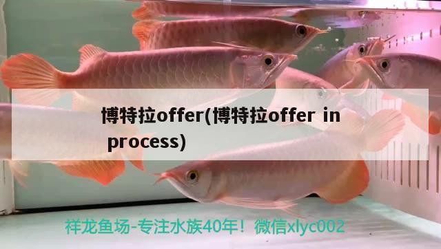 博特拉offer(博特拉offerinprocess) 博特拉offer(博特拉offerinprocess) 博特水族