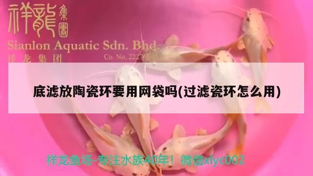 底濾放陶瓷環(huán)要用網(wǎng)袋嗎(過濾瓷環(huán)怎么用) 底濾放陶瓷環(huán)要用網(wǎng)袋嗎(過濾瓷環(huán)怎么用) 魟魚百科