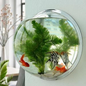 哈爾濱哪里賣魚缸便宜又好看又好養(yǎng)