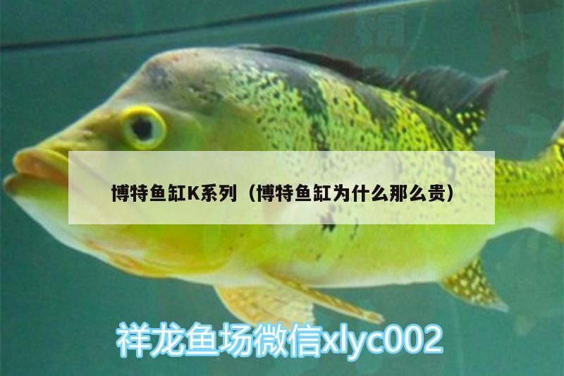 博特魚缸K系列（博特魚缸為什么那么貴） 博特魚缸K系列（博特魚缸為什么那么貴） 博特水族
