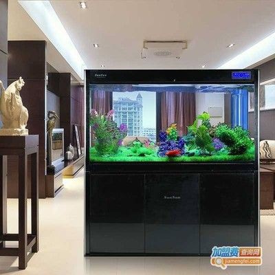 森森水族上市：森森水族已準備上市輔導并不保證公司一定能上市