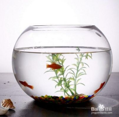 超白魚缸劃痕能不能修復好:北京元智玻璃科技有限公司超白魚缸劃痕修復方法 魚缸百科 第2張 超白魚缸劃痕能不能修復好:北京元智玻璃科技有限公司超白魚缸劃痕修復方法 超白魚缸劃痕能不能修復好:北京元智玻璃科技有限公司超白魚缸劃痕修復方法 魚缸百科 第2張