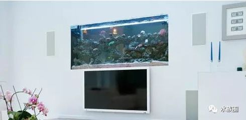 瓷磚制作魚缸用什么膠最好:制作魚缸使用瓷磚時,選擇合適的膠水是很重要的 魚缸百科 第1張 瓷磚制作魚缸用什么膠最好:制作魚缸使用瓷磚時,選擇合適的膠水是很重要的 瓷磚制作魚缸用什么膠最好:制作魚缸使用瓷磚時,選擇合適的膠水是很重要的 魚缸百科 第1張