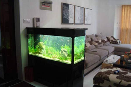 通化市東昌區(qū)星輝水族店（通化星級大酒店）