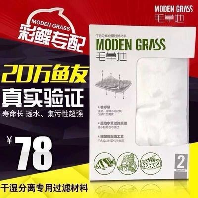 嘉興觀賞魚養殖場電話號碼多少（嘉興觀賞魚養殖場電話號碼多少號）