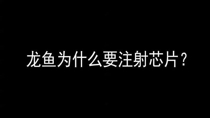 紅龍魚的芯片是怎么回事:關于紅龍魚芯片的詳細介紹 紅龍魚百科 第1張 紅龍魚的芯片是怎么回事:關于紅龍魚芯片的詳細介紹 紅龍魚的芯片是怎么回事:關于紅龍魚芯片的詳細介紹 紅龍魚百科 第1張