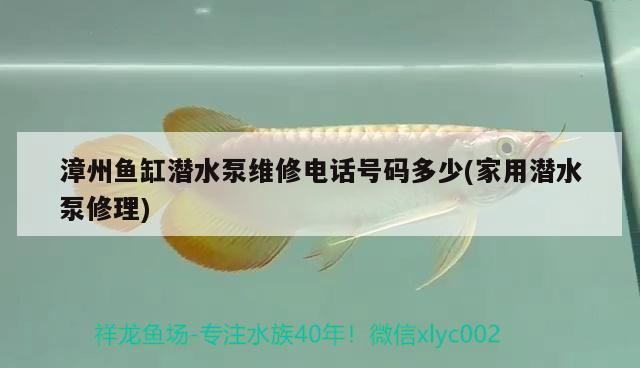 漳州魚缸潛水泵維修電話號碼多少(家用潛水泵修理) 漳州魚缸潛水泵維修電話號碼多少(家用潛水泵修理) 森森魚缸