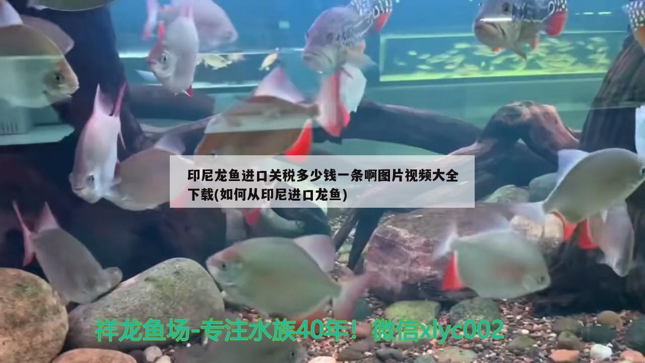 吃東西還可以開心