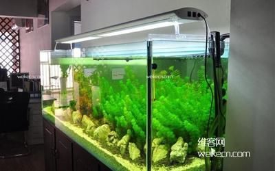辦公室風(fēng)水魚缸擺放位置圖：辦公室風(fēng)水魚缸擺放位置圖辦公室風(fēng)水魚缸擺放位置