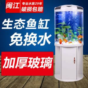 半圓形魚缸造景：半圓形魚缸造景的基本步驟和注意事項