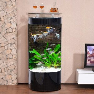 半圓形魚缸造景：半圓形魚缸造景的基本步驟和注意事項