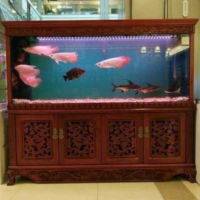上海市普陀區綠洲苑花店（上海市普陀區綠洲苑花店地址）