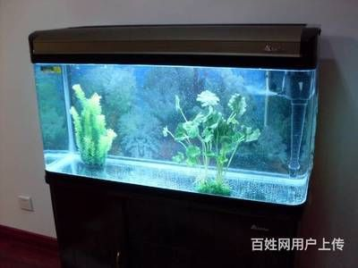 大型魚缸回收廠家