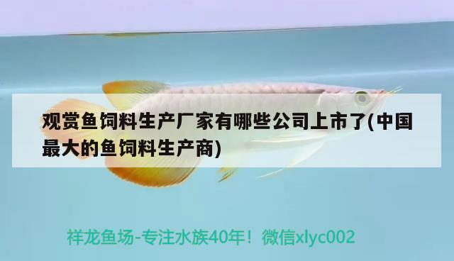 觀賞魚飼料生產(chǎn)廠家有哪些公司上市了(中國最大的魚飼料生產(chǎn)商)